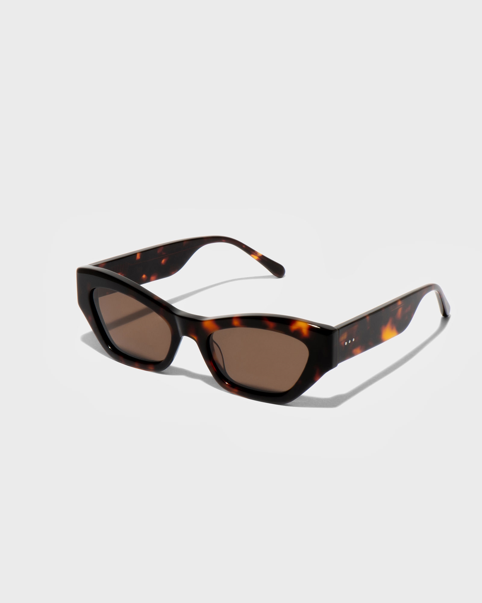 Accessories | Linear Sunglasses | 864 Tortoise